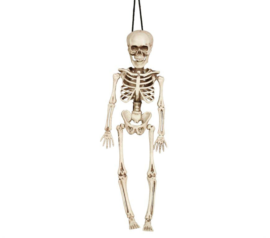 Skelett Dekoration Halloween Grusel