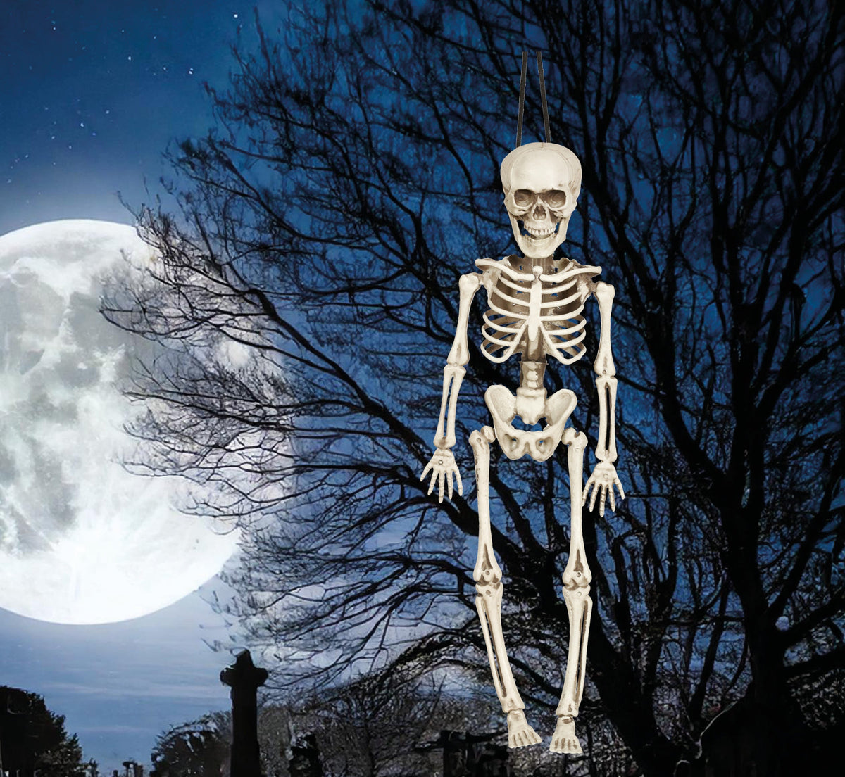 Skelett Dekoration Halloween Grusel