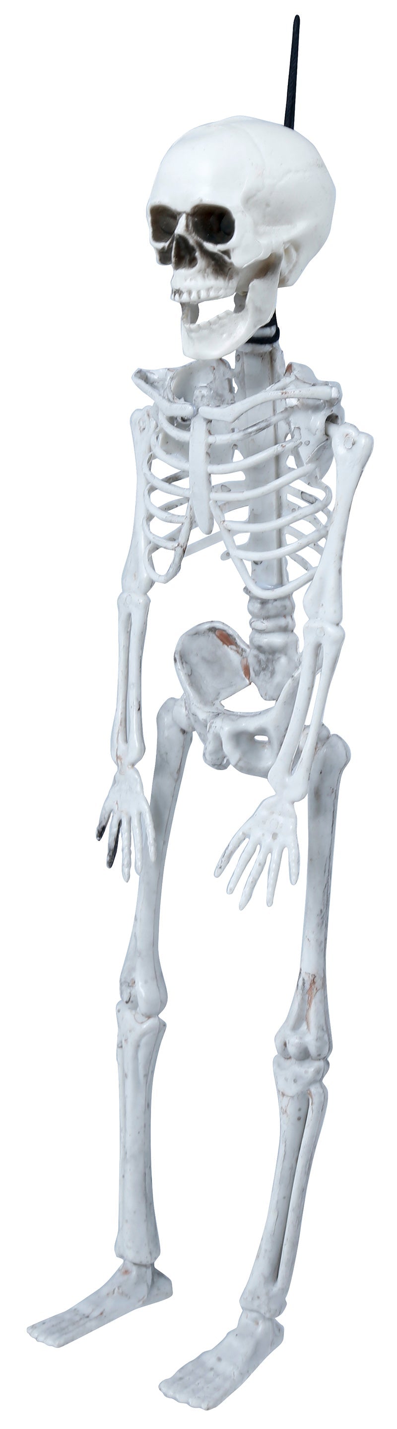 Skelett Dekoration Halloween Grusel