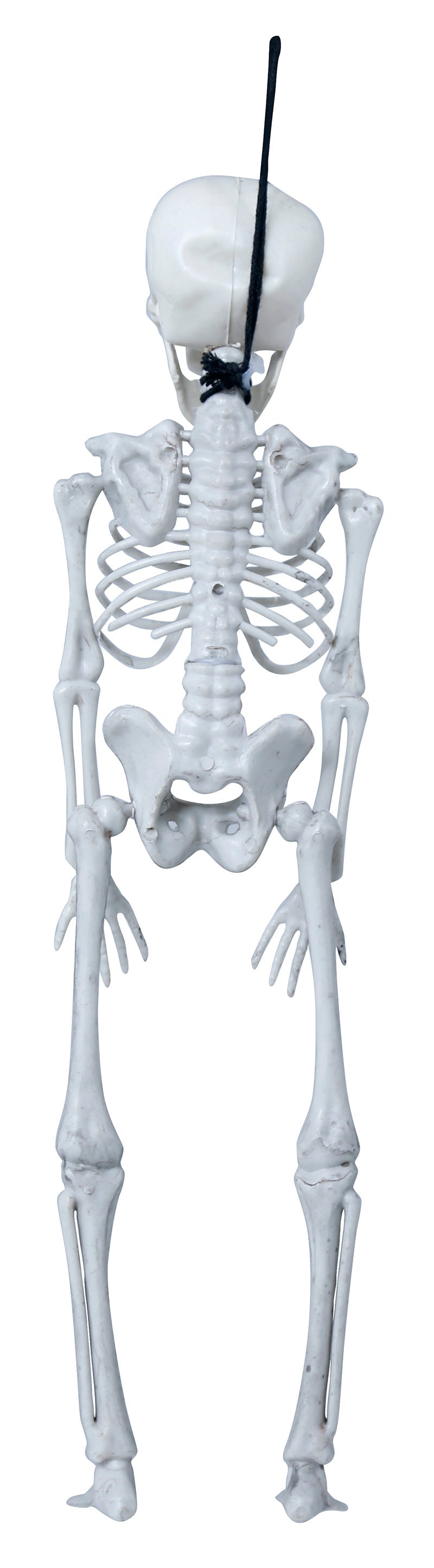 Skelett Dekoration Halloween Grusel