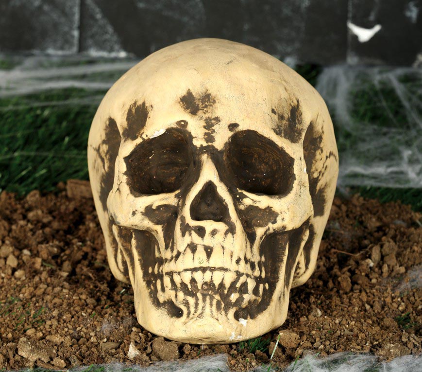 Skelett Totenkopf Halloween Deko Grusel