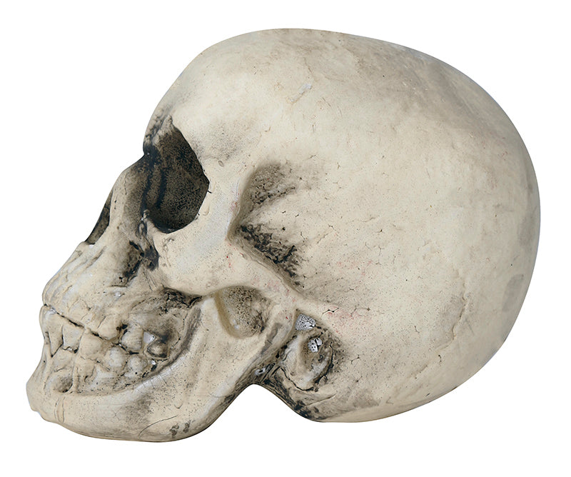 Skelett Totenkopf Halloween Deko Grusel