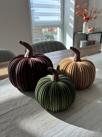 3DPlantify Kürbis Deko Modern Herbst Halloween 3D-Druck